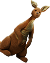 Kanga